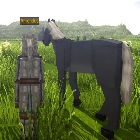 Feverstone's Horses