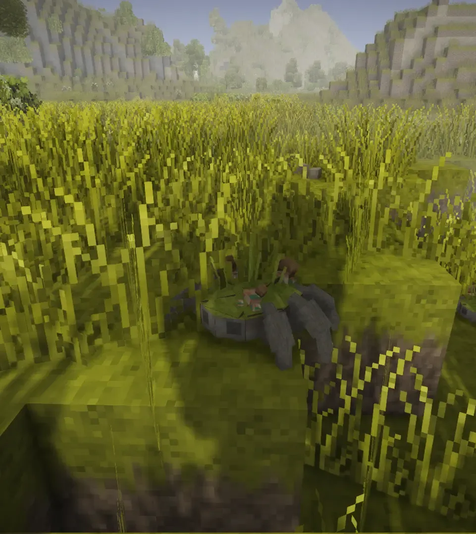 Feverstone Wilds