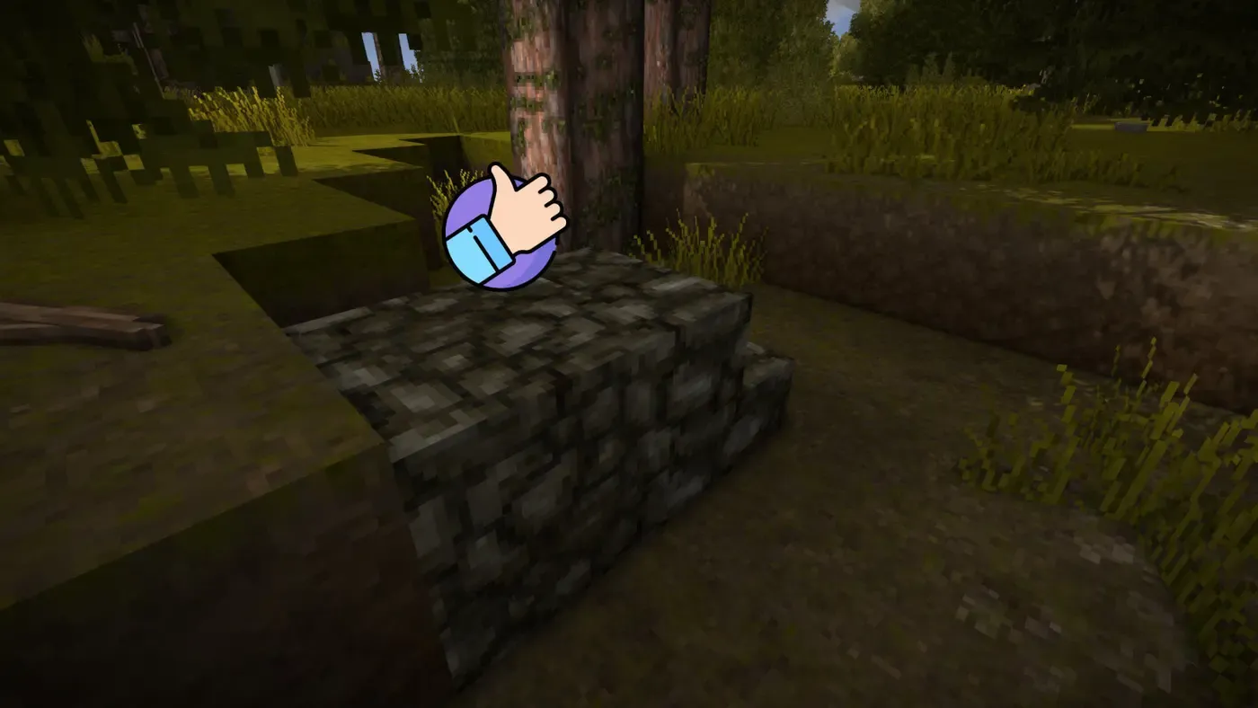 Fixed Paths