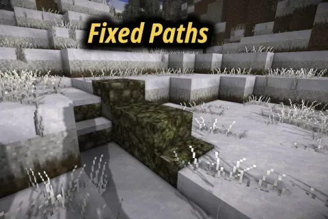 Fixed Paths