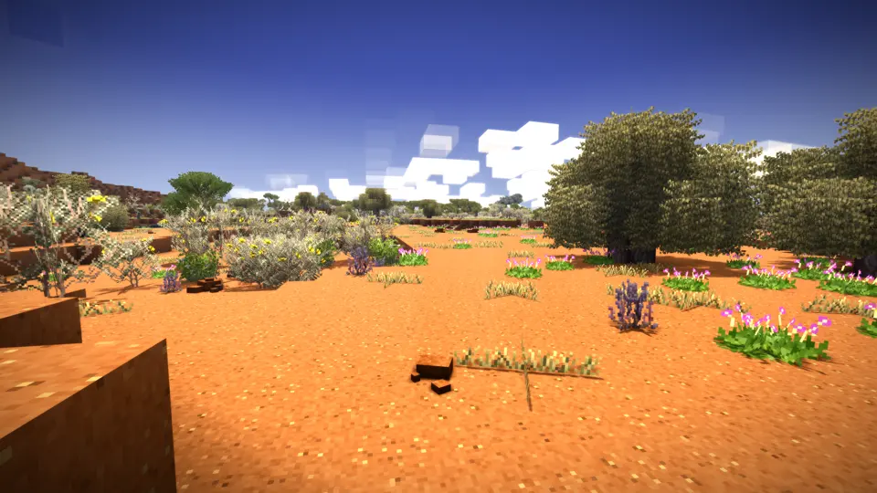 Floral Zones: Central Australian Region