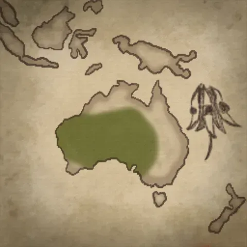 Floral Zones: Central Australian Region