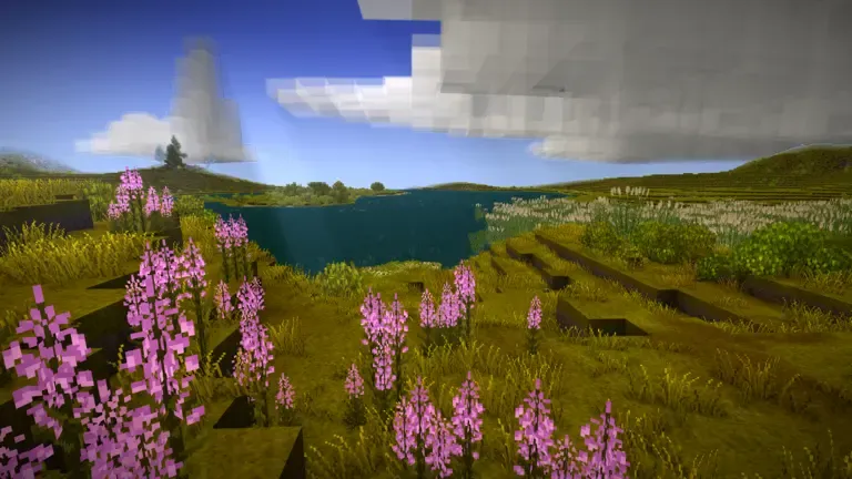 Floral Zones: Cosmopolitan Region