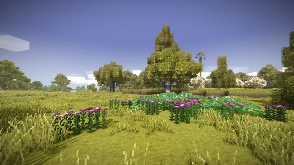 Floral Zones: East Asiatic Region