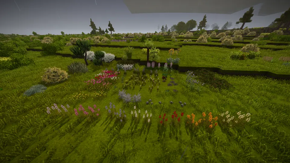 Floral Zones: Mediterranean Region