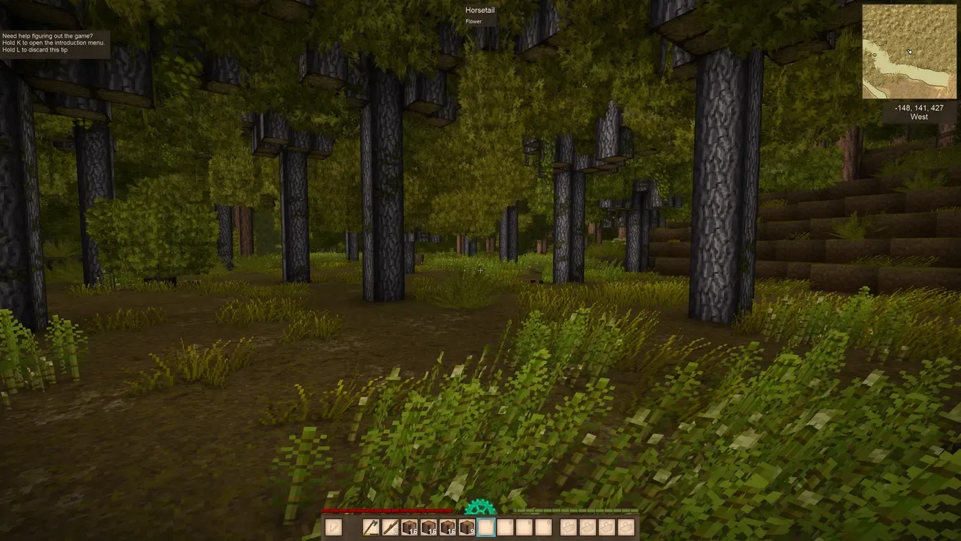 Forest World