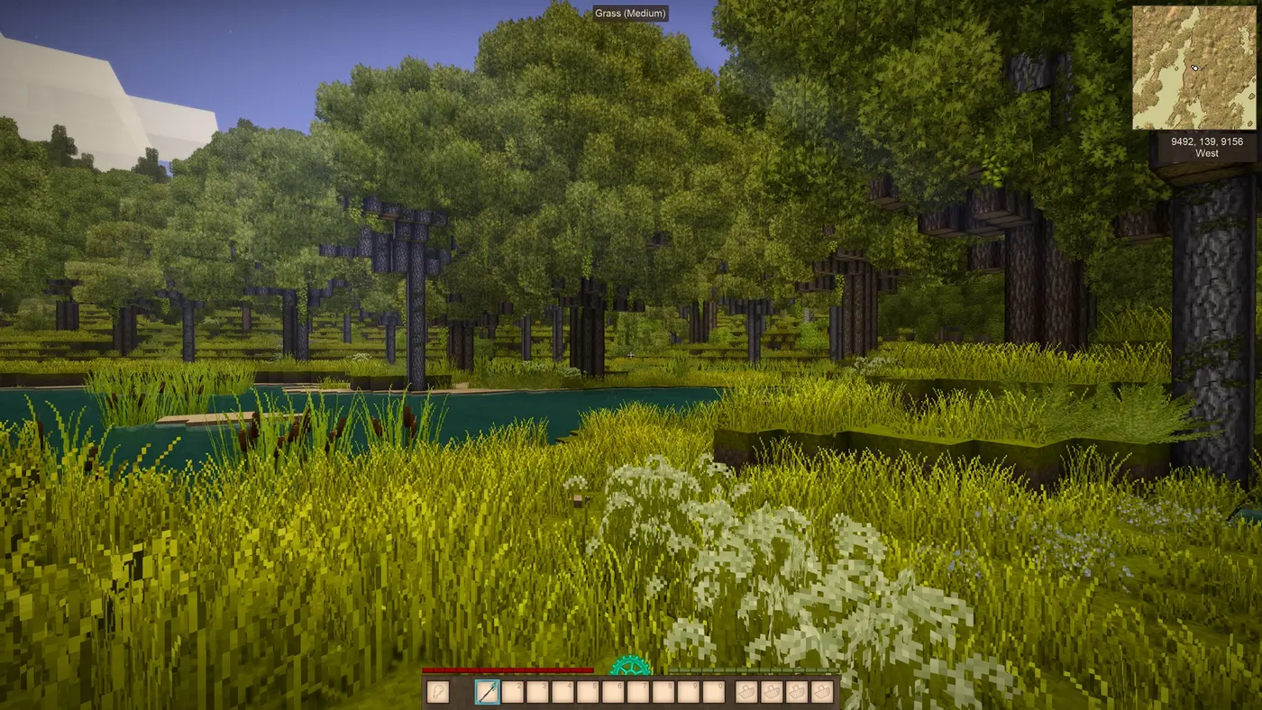 Forest World