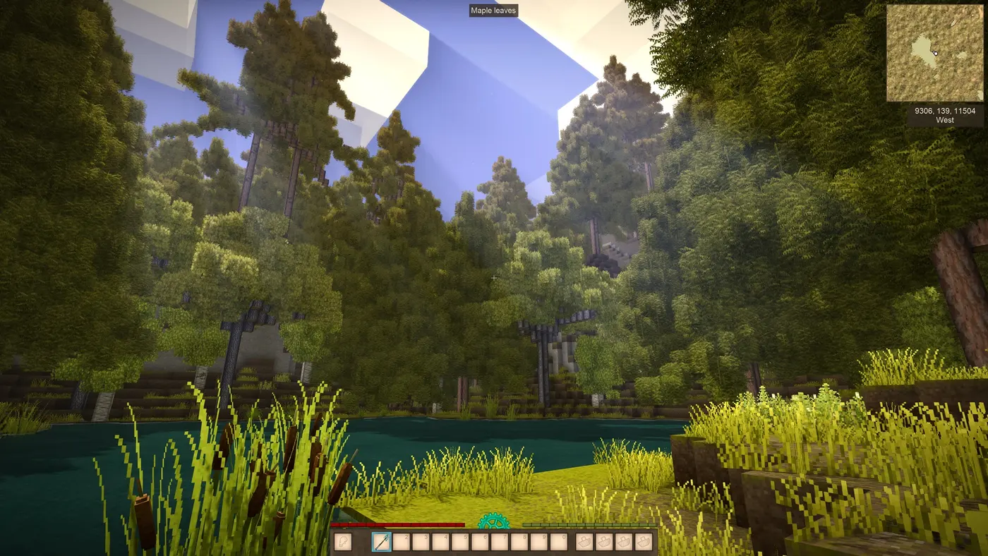 Forest World
