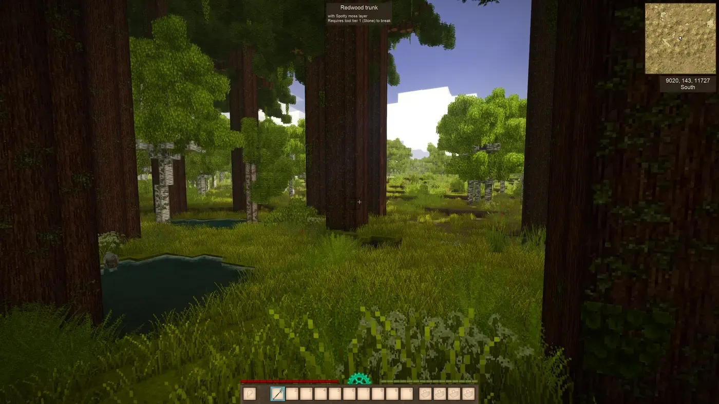 Forest World