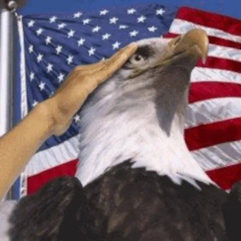 Freedom Units [The Reupload]