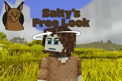 Salty's Free Look