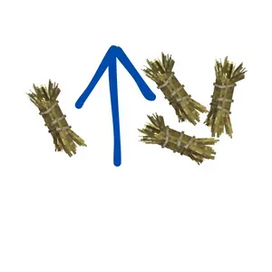 Grassier Grass
