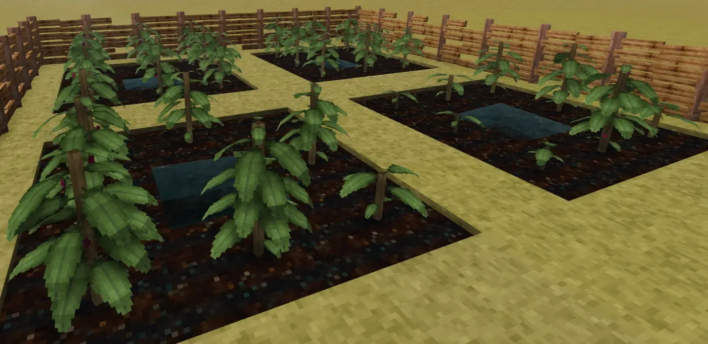 Grassroots Coca