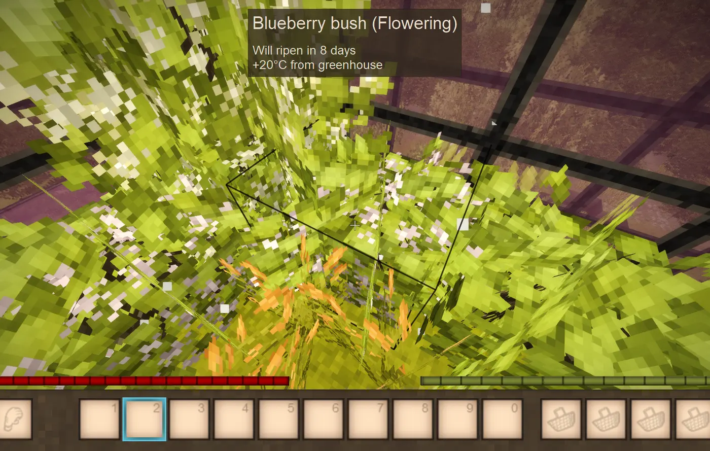 Greenhouse Buff