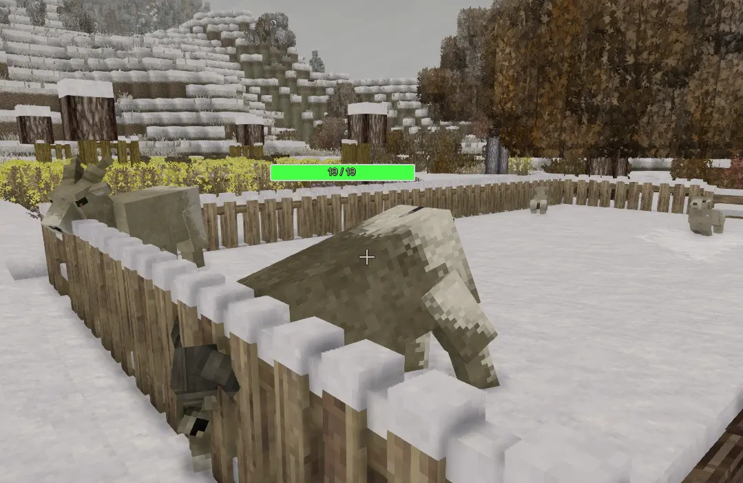 HealthBar