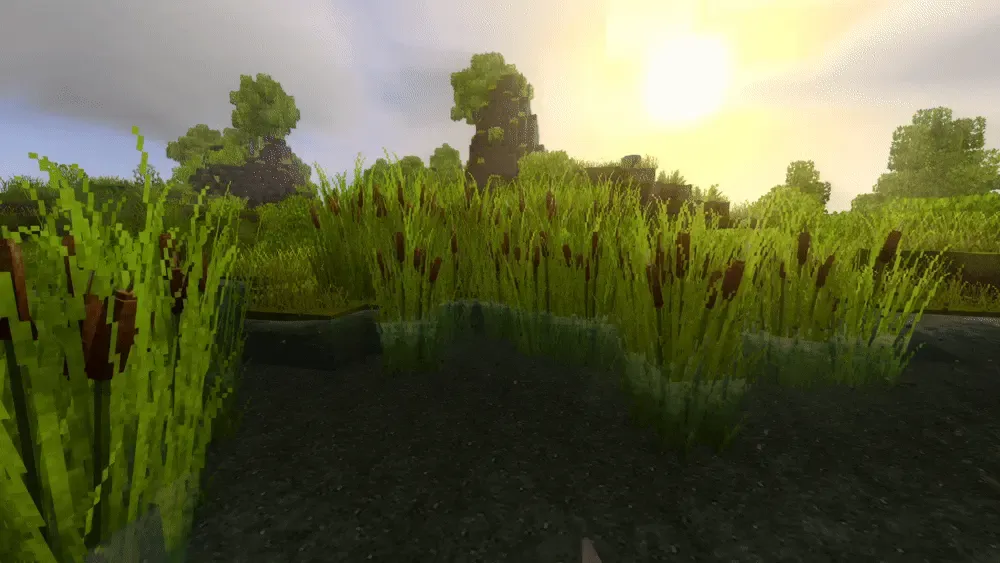 Salty´s Immersive: Foliage
