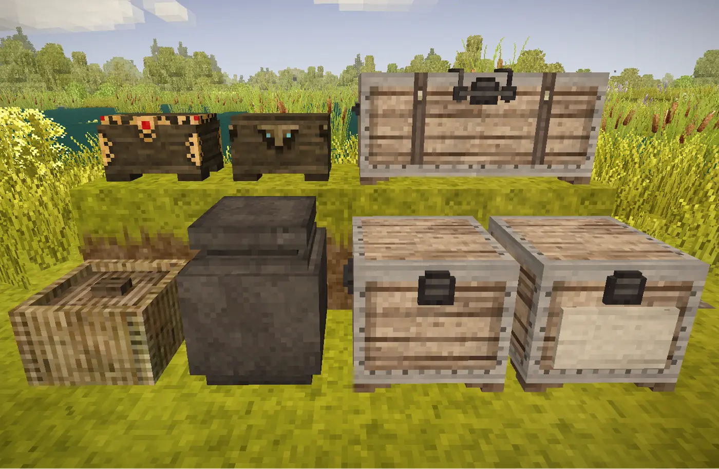 Increased Storage Capacity