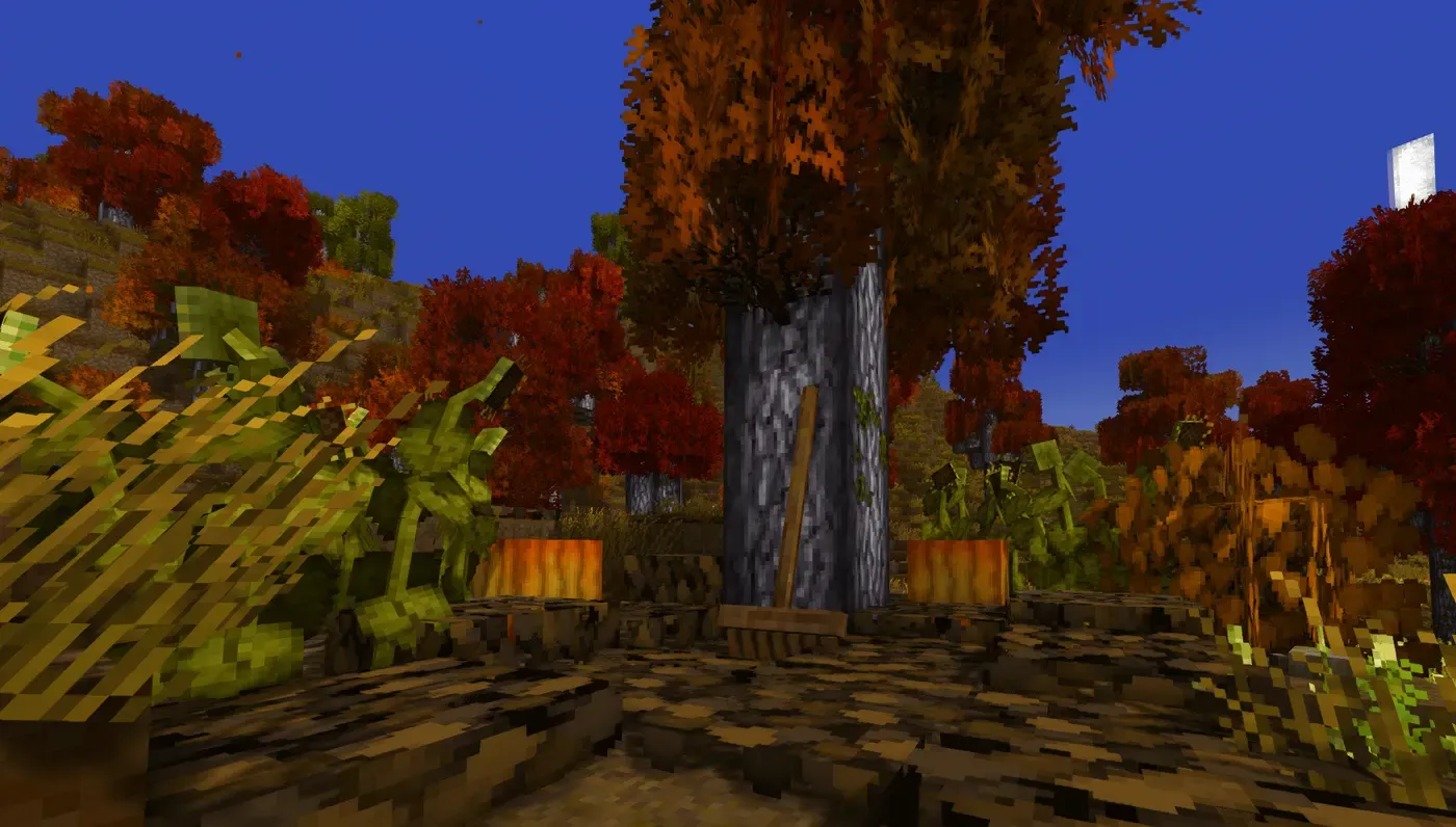 Leaf Litter