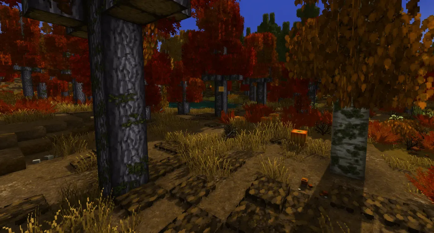 Leaf Litter