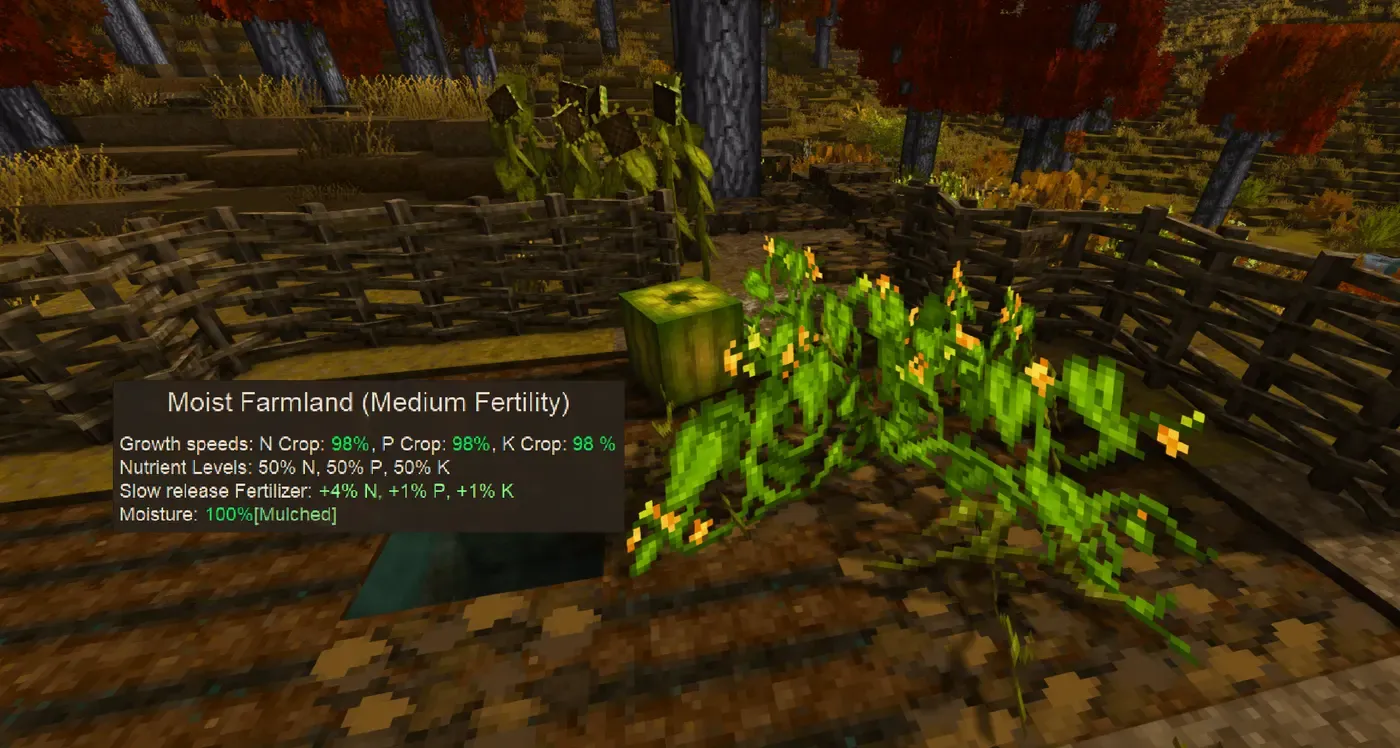 Leaf Litter