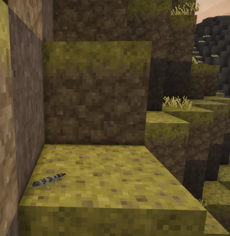 Leopard Geckos