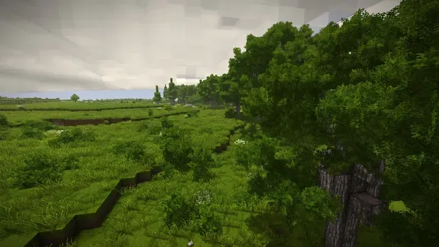 Misaki's Immersive Foliage