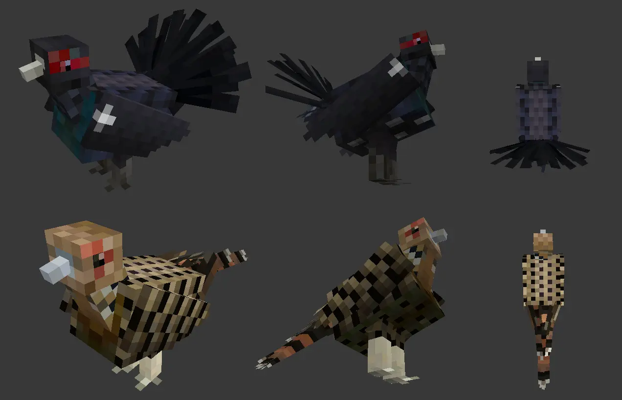 More Animals