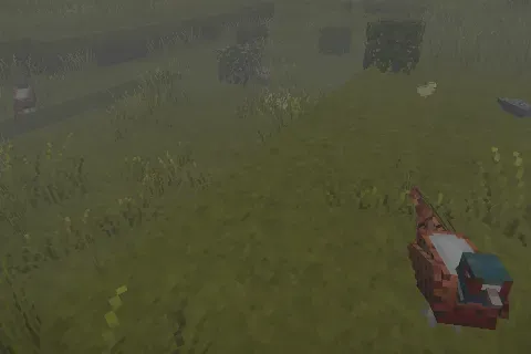 More Animals