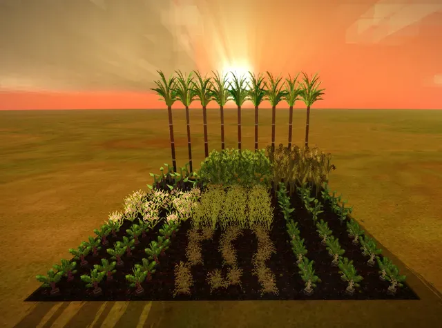Farm To Table