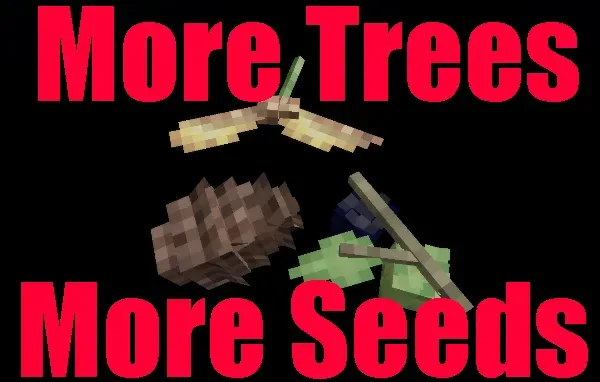 More Trees More Seeds