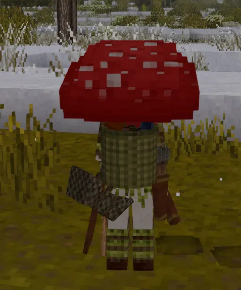 Mushroom Hat