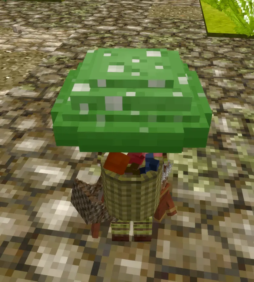 Mushroom Hat