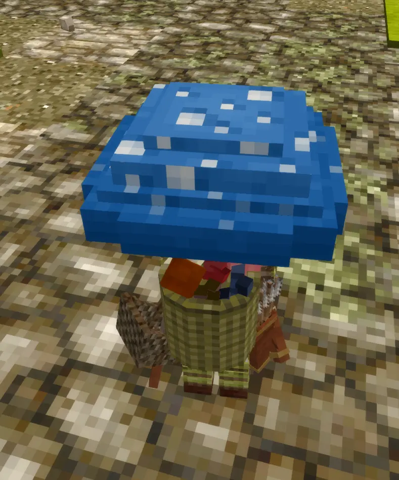 Mushroom Hat