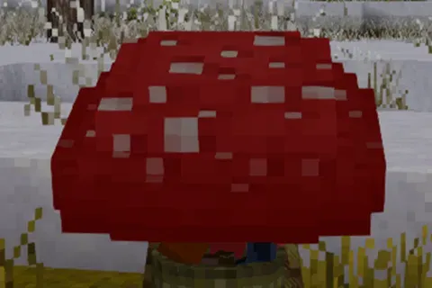 Mushroom Hat