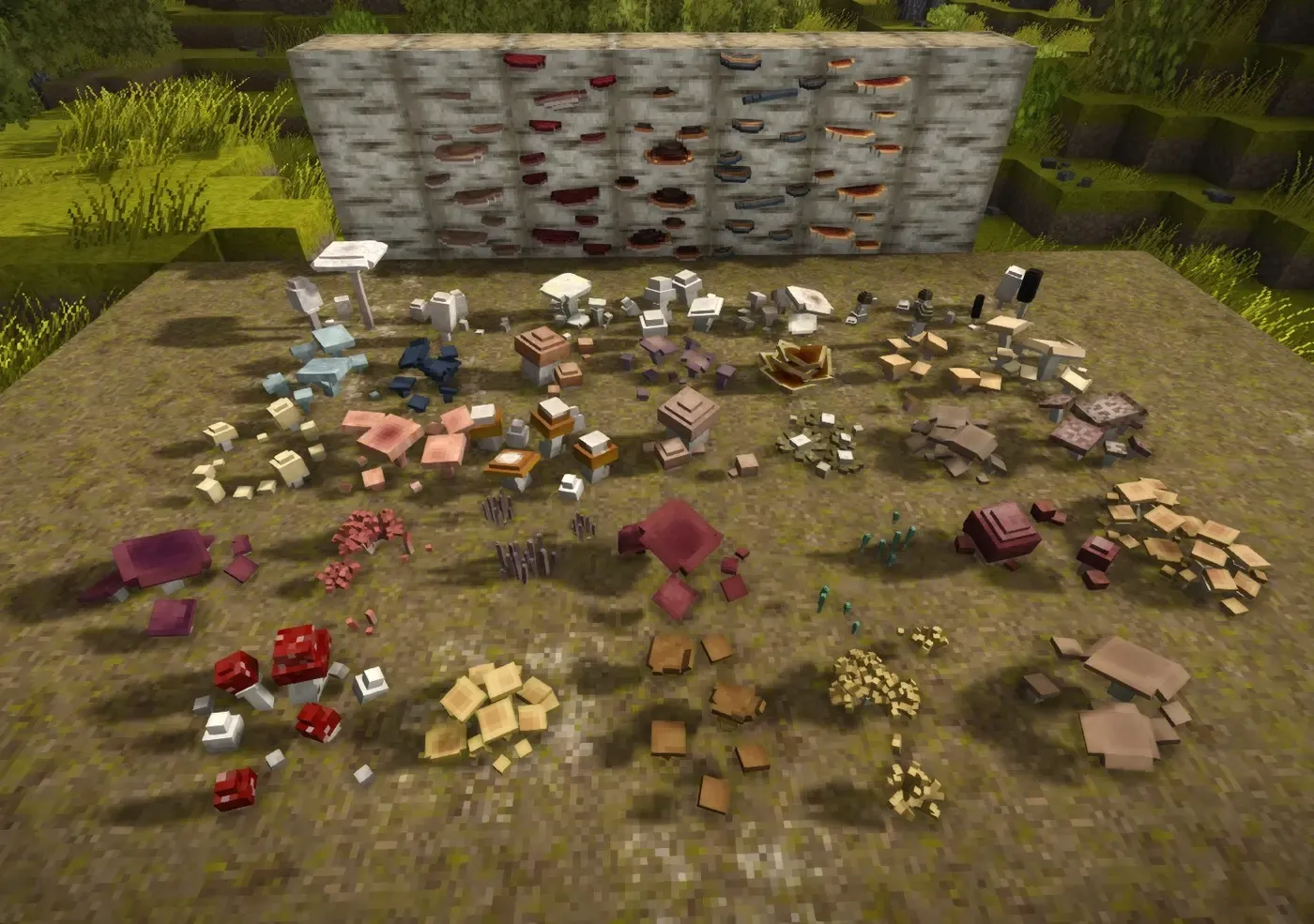 Mycodiversity