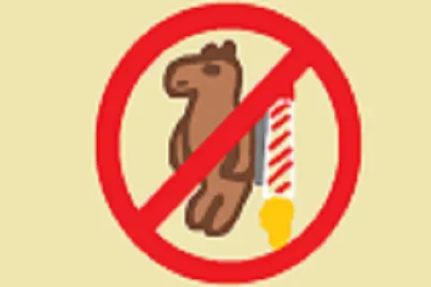 No Bear Jetpacks