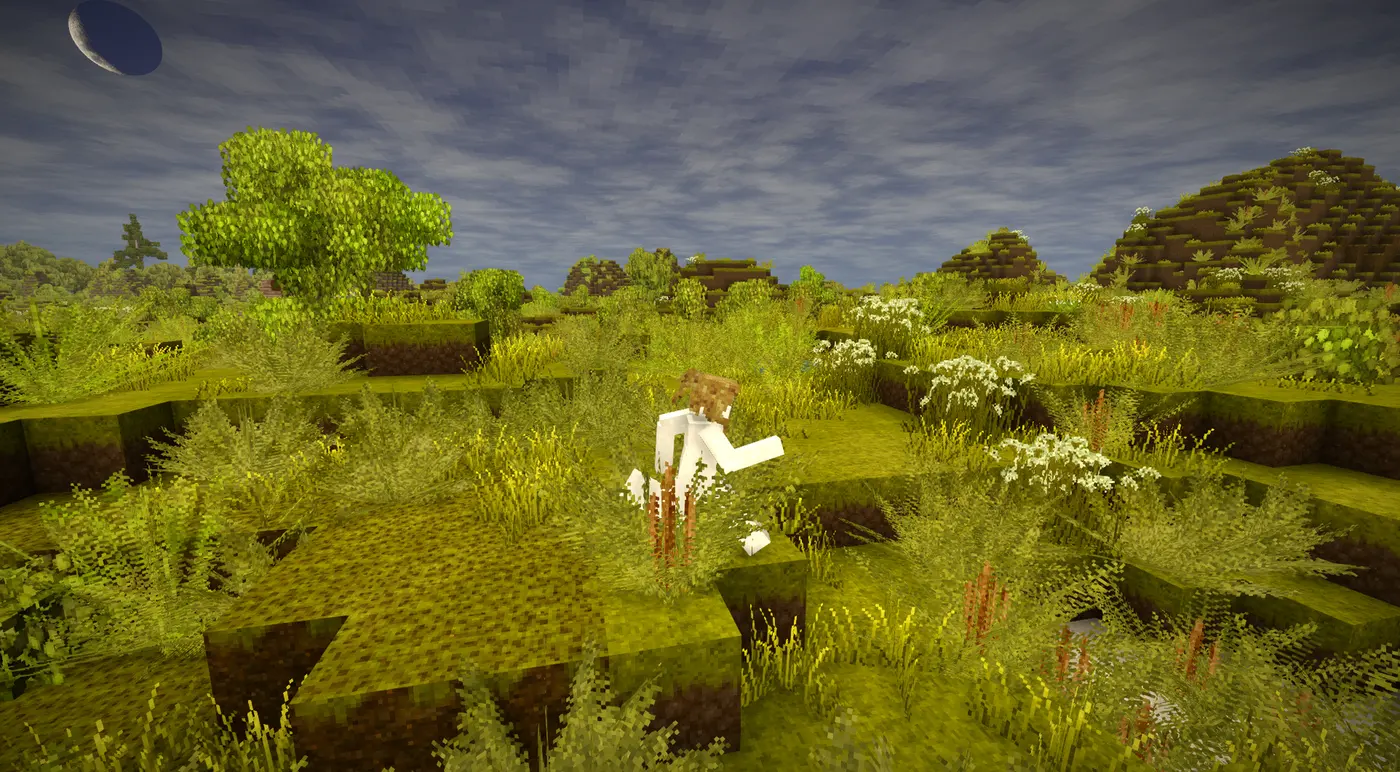 No Underwear Textures