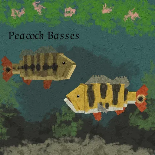 Peacock Basses