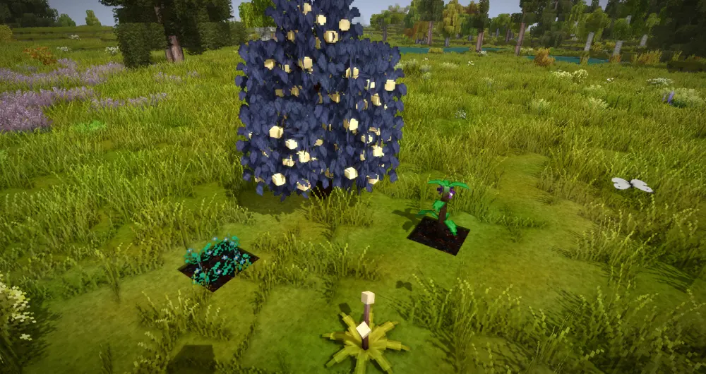 Plant Materials
