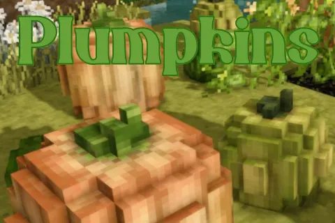Plumpkins