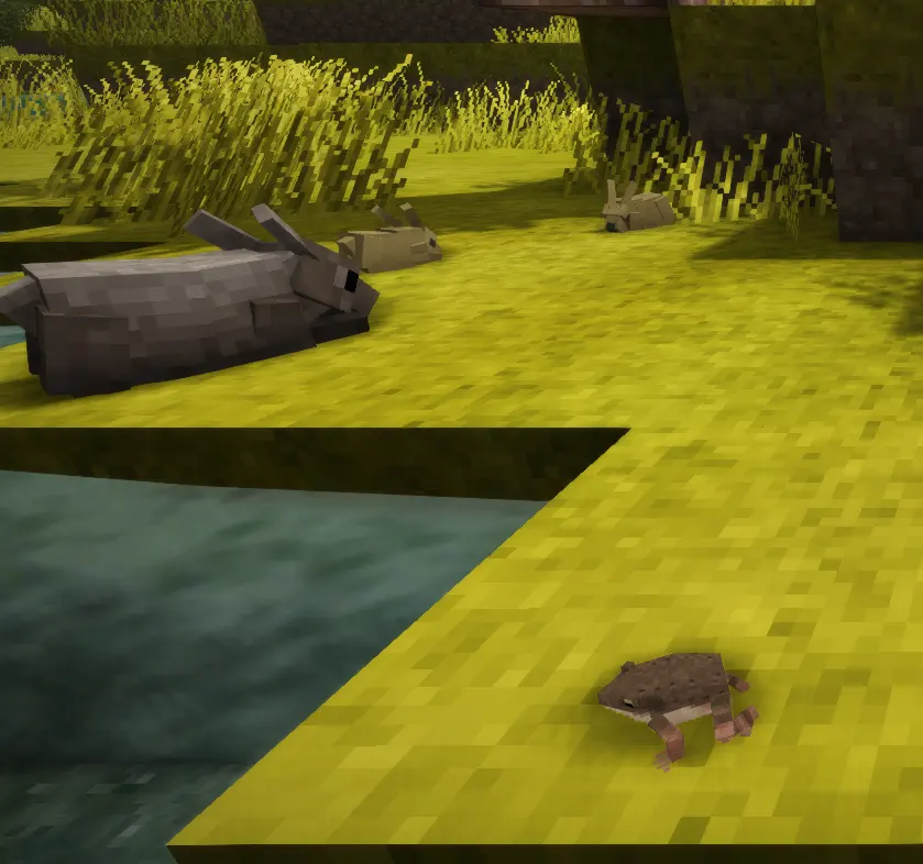 New World Pond Frogs