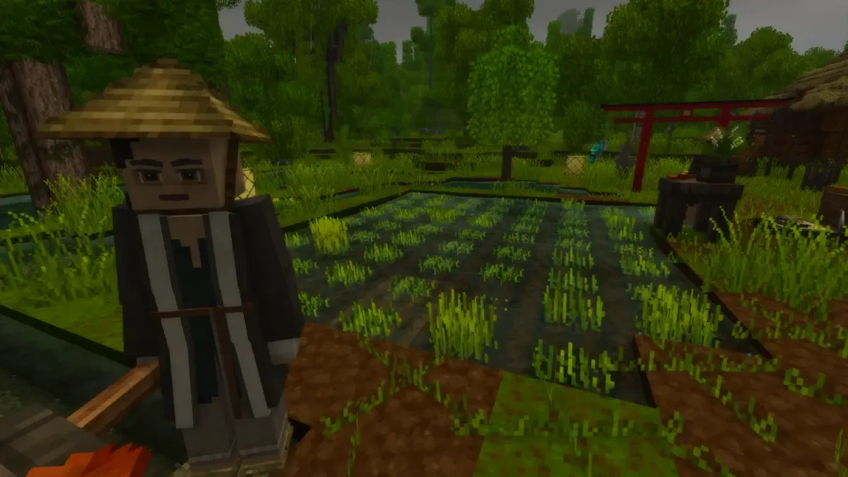 Paddy Fields