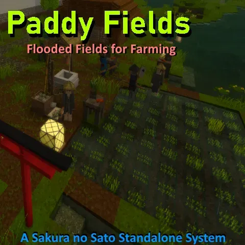 Paddy Fields