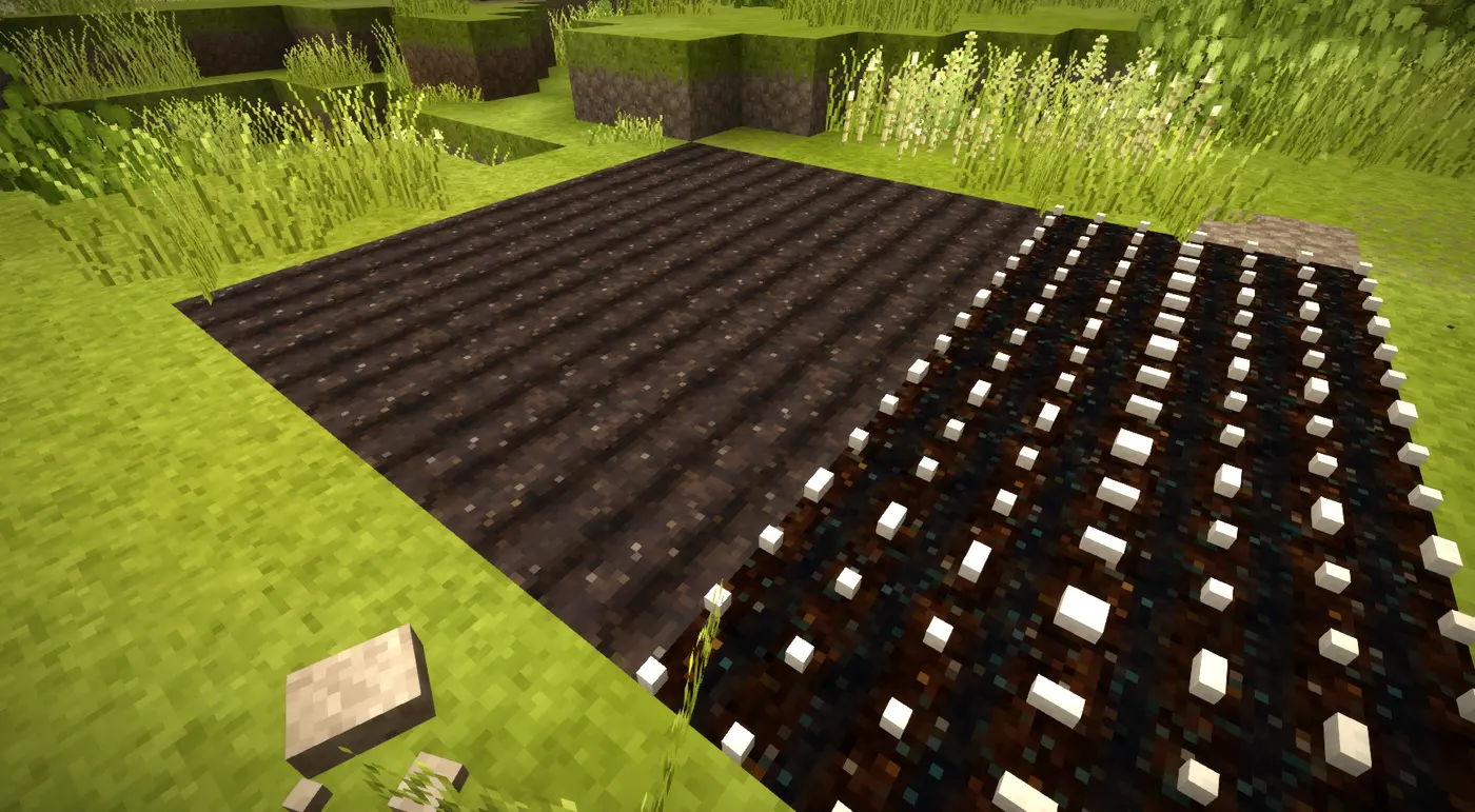 Saltpeter Production