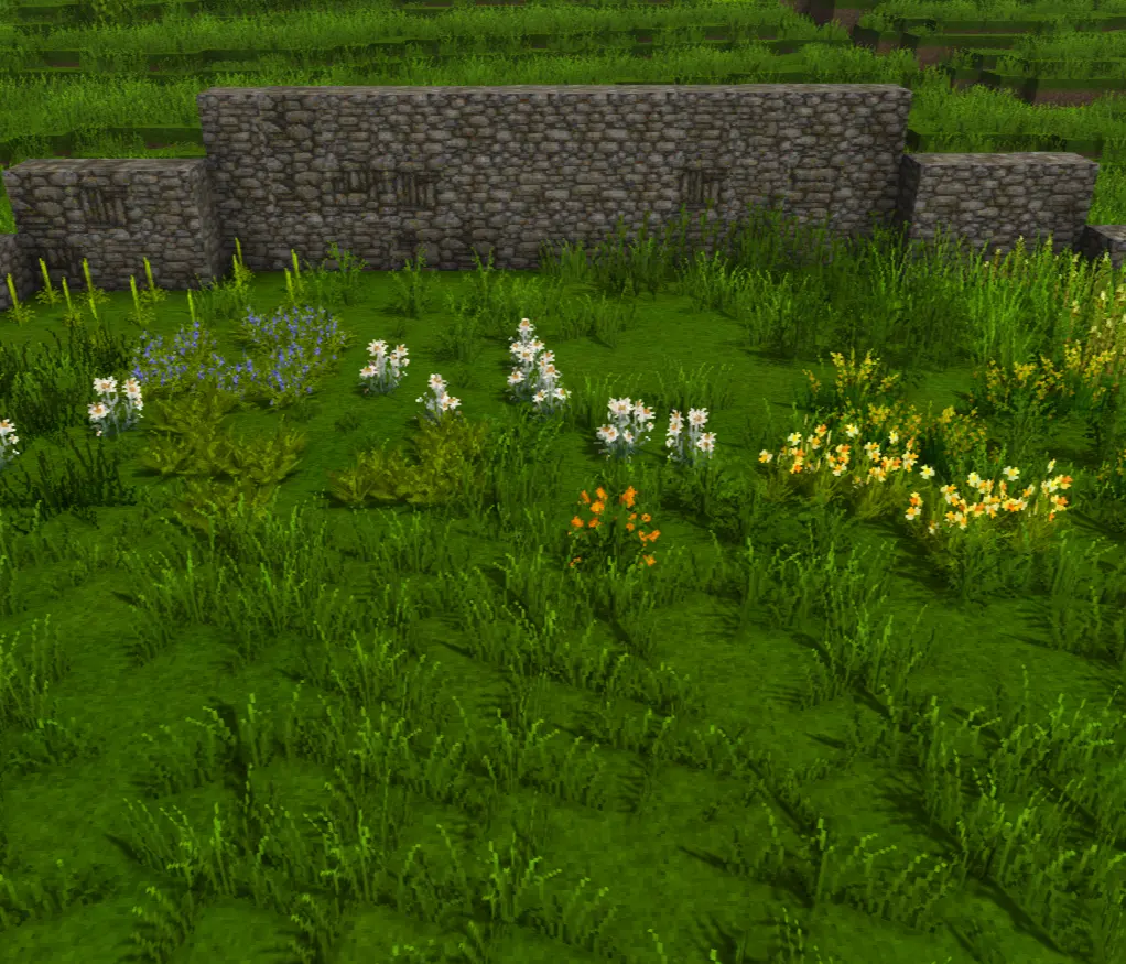 Seasonal Flowers