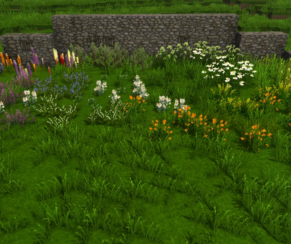Seasonal Flowers