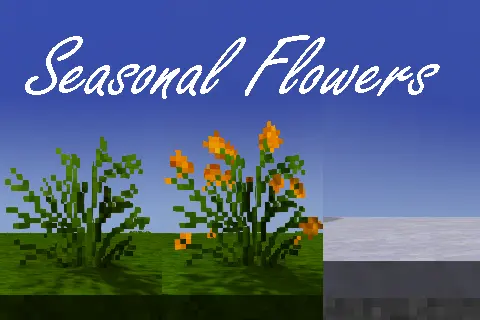 Seasonal Flowers