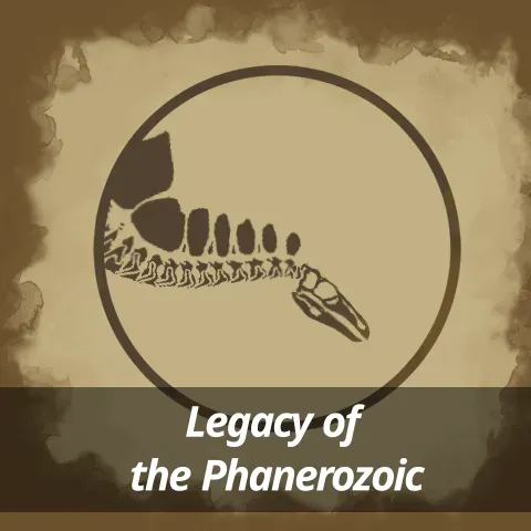 Legacy of the Phanerozoic: Plated Back