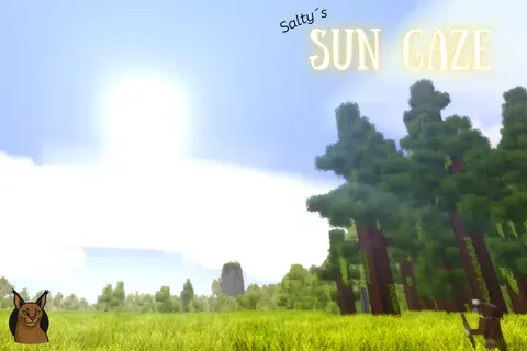 Salty´s Sun Gaze