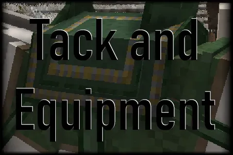 Equus: Tack and Equipment